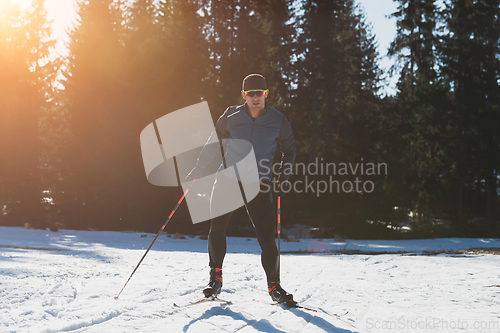 Image of Nordic skiing or Cross-country skiing classic technique practiced by man in a beautiful panoramic trail at morning.