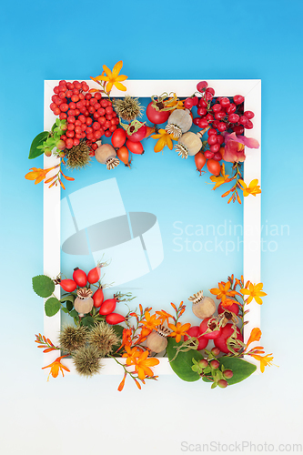 Image of Autumn Thanksgiving Abundant Nature Background Frame