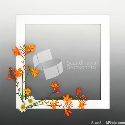 Image of Crocosmia Lily and Daisy Flower Minimal Background Border