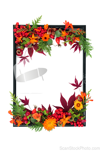 Image of Floral Thanksgiving and Autumn Fall Nature Background Border