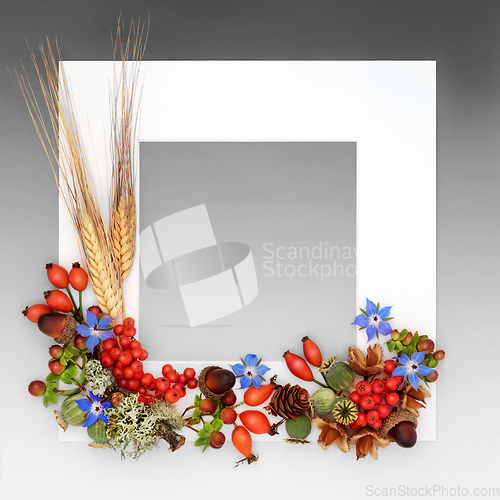 Image of Floral Autumn Fall Thanksgiving Day Background Border