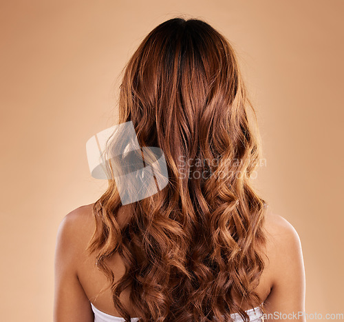 Image of Haircare, back and beauty of woman with curly hair in studio isolated on a brown background. Texture, growth and female model with salon treatment for hairstyle, balayage or extensions and highlights