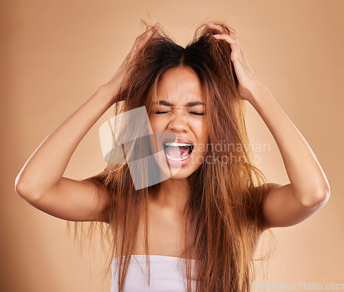 Image of Angry, screaming and woman with hair loss in studio isolated on a brown background. Haircare, damage and upset female model shouting after salon treatment fail, split ends or messy hairstyle problem.