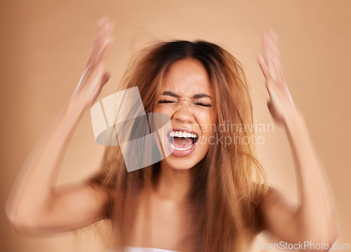 Image of Anger, screaming and woman with hair loss in studio isolated on a brown background. Haircare, damage and upset female model shouting after salon treatment fail, split ends or messy hairstyle problem