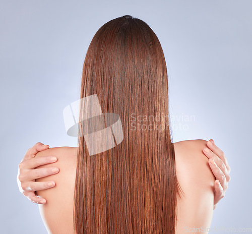 Image of Hugging self, back and hair beauty of a woman with wellness and soft hairstyle texture in a studio. Shampoo treatment and keratin of a female with balayage, clean and haircare aesthetic from salon