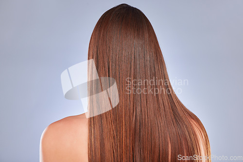 Image of Hair, model and back of a woman with beauty, wellness and soft hairstyle texture in a studio. Cosmetics, shampoo treatment and keratin of a female with healthy, clean and haircare shine from salon