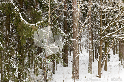 Image of winter day after a snowfall