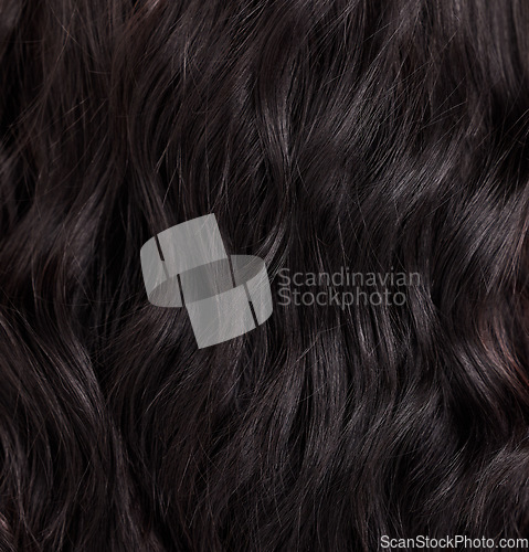 Image of Beauty, hair care and closeup of a woman with healthy, wellness and healthcare of a hairstyle texture. Salon, curls and wavy haircut textures of a female with dark color beautician treatment