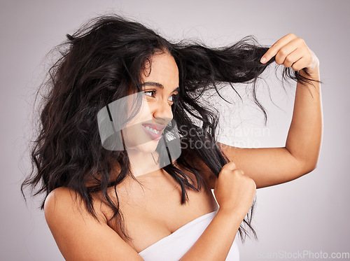 Image of Woman, messy hair and disgust for entangled problem holding split ends against white studio background. Frustrated or confused female model in haircare touching curly mess, damaged or tangled hairdo