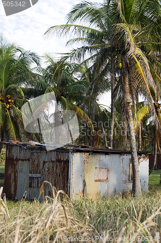 Image of typical house corn island nicaragua