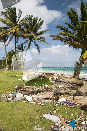 Image of sallie peachie beach litter malecon north end corn island nicara