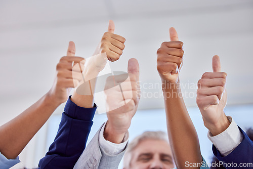 Image of Business people, hands and thumbs up in agreement for success, good job or collaboration at office. Hand of group showing thumb emoji, yes sign or like for teamwork, win or solidarity at workplace