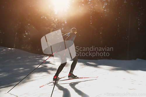 Image of Nordic skiing or Cross-country skiing classic technique practiced by man in a beautiful panoramic trail at morning.