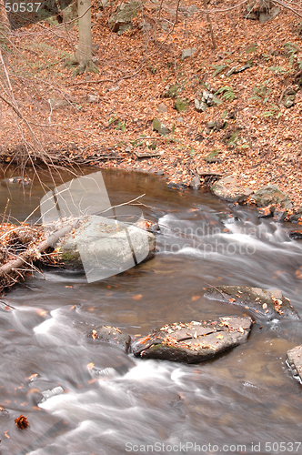 Image of stream 555