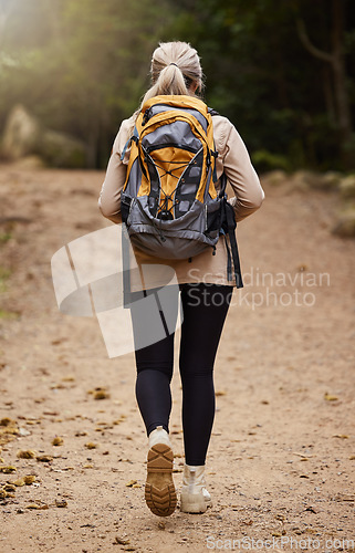 Image of Girl hiking, back view or woman in nature, forest or wilderness for a trekking adventure. Freedom, backpack healthy female hiker walking in a natural park or woods for exercise or wellness on holiday