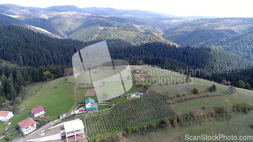 Image of Aerial drone view of ATV quads on a dirt trail in forests. Off-road group team club enthusiasts having fun while driving countryside roads.