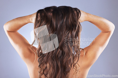 Image of Studio, back or girl with hair growth, healthy natural shine or grooming wellness on white background. Hands, curly hairstyle or woman model isolated with beauty salon mockup or self care cosmetics