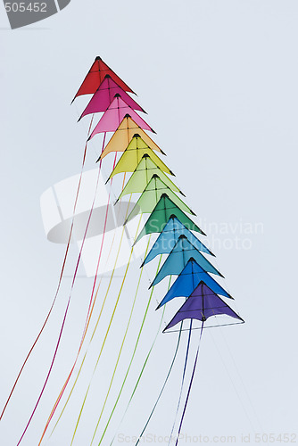 Image of Colourful kites