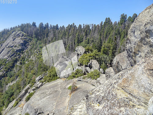 Image of Yosemite National Park