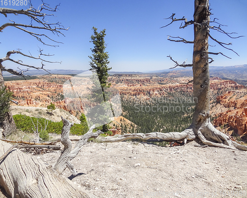 Image of Bryce Canyon National Park