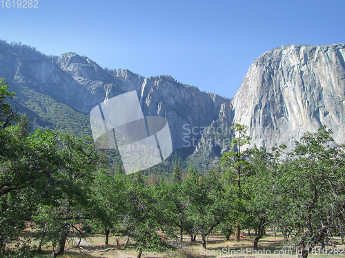 Image of Yosemite National Park