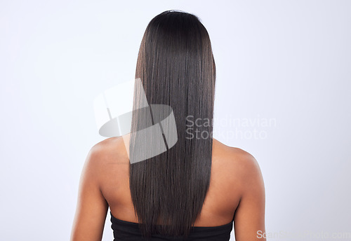 Image of Indian woman, hair care or back view in studio for keratin, healthy natural shine or wellness. Girl model, luxury beauty salon or self care cosmetics in grooming on white background for growth
