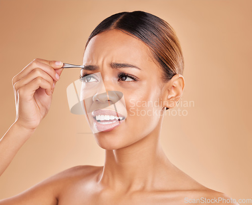 Image of Beauty, pain and eyebrows with woman and tweezers in studio for clean, self care and cosmetics. Facial, plucking and shape with female model on brown background for hair removal, skincare or grooming