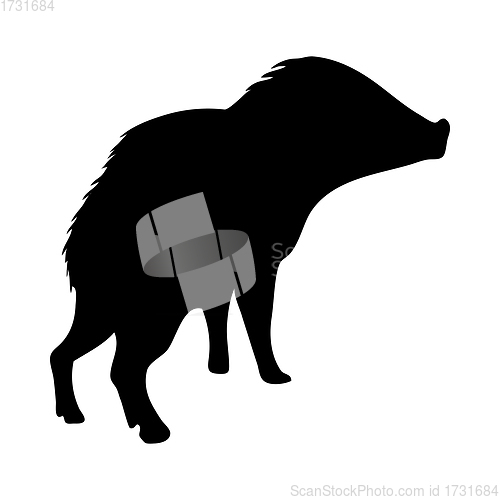 Image of Collared Peccary Silhouette