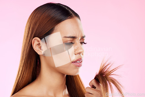 Image of Woman, split end in hand and upset at hair in studio for salon, hairdresser or repair shampoo or treatment. Damage and dry texture or hairstyle of a beauty model frustrated on a pink background space