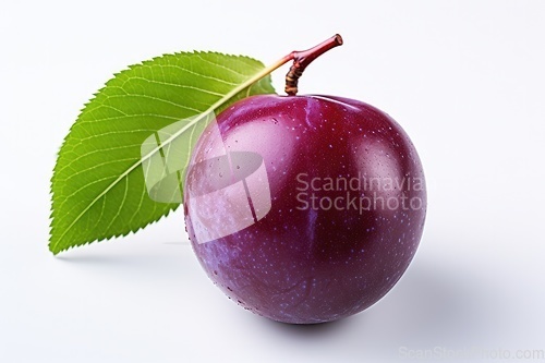 Image of Purple plum on white