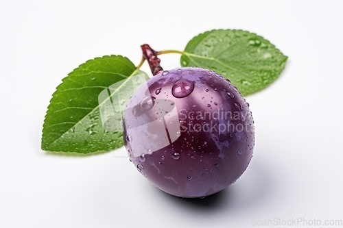 Image of Purple plum on white