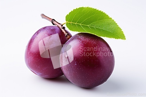 Image of Purple plum on white