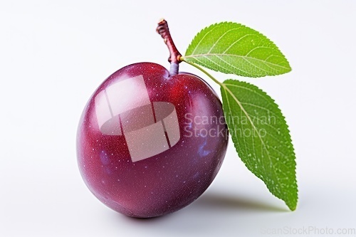 Image of Purple plum on white