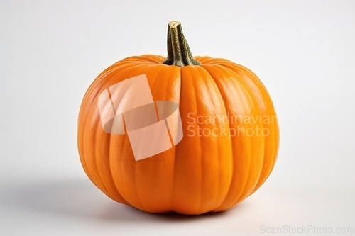 Image of Single pumpkin on white