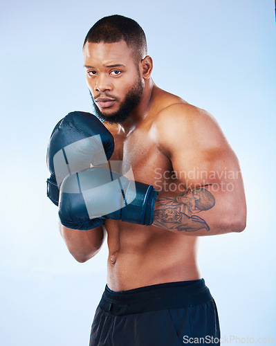 Image of Boxer man, training and studio portrait for wellness, fight and focus for competition by blue background. Young boxing athlete, strong body or gloves for safety, fist and performance in sport workout