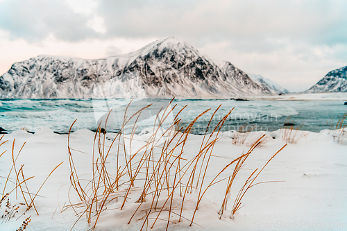 Image of Norway coast in winter with snow bad cloudy weather