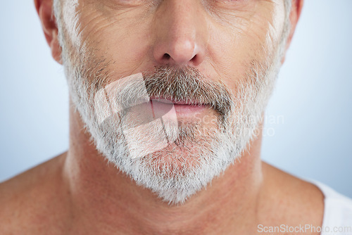 Image of Beauty, beard and mouth of man in studio for grooming, hygiene and maintenance. Haircare, style and barber with senior male isolated on gray background for skincare, growth and facial cosmetics