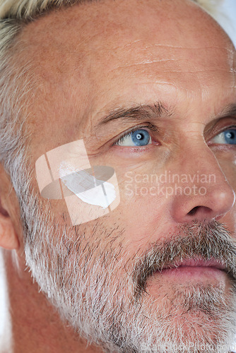 Image of Skincare, cream and face of senior man in studio for wellness, facial treatment and anti aging cosmetics. Beauty, dermatology and zoom of male model with lotion, creme and moisturizer for hygiene