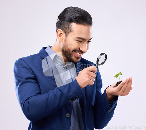 Image of Man, business growth and plant in studio with magnifying glass for inspection, analysis or happy on white background. Businessman, plants and investment, sustainability or startup company performance