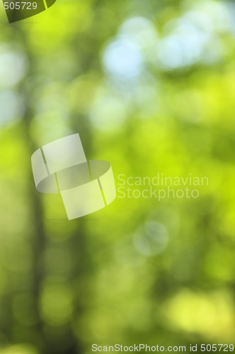 Image of Green background