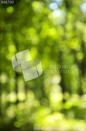 Image of Green background