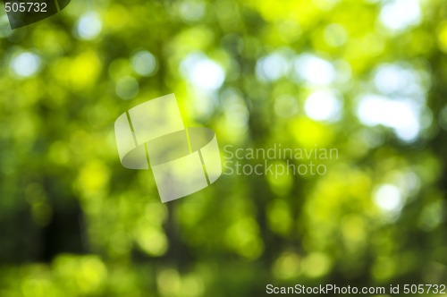 Image of Green background