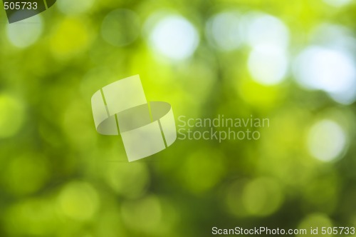 Image of Green background