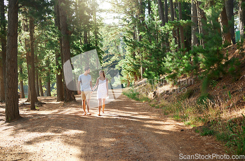 Image of Walking, happy and a couple holding hands in nature for love, a date or holiday in Switzerland. Smile, care and a young man and woman on a walk in a forest, woods or mountains during a vacation