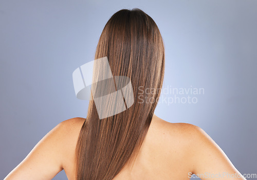 Image of Woman back, beauty and hair care in studio for texture, growth and healthy shine on blue background. Aesthetic female model for haircare, wellness and results for salon or hairdresser treatment space