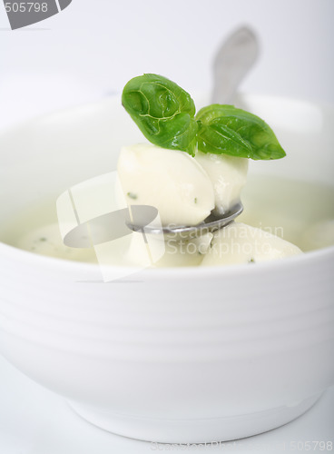 Image of Mozzarella with basil