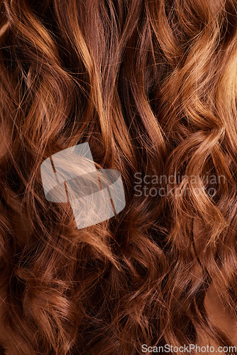 Image of Hair, balayage and beauty with closeup, haircare and keratin treatment with shine and curly hairstyle. Fashion, person with highlights and elegant style, wavy and growth with volume and cosmetic care