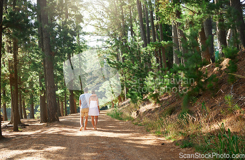 Image of Back, love and nature with a couple in the forest, walking together on a romantic date for bonding or adventure. Freedom, travel or hiking with a man and woman outdoor for a walk during summer