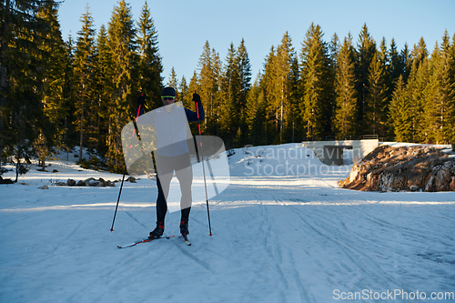 Image of Nordic skiing or Cross-country skiing classic technique practiced by man in a beautiful panoramic trail at morning.Selective focus.