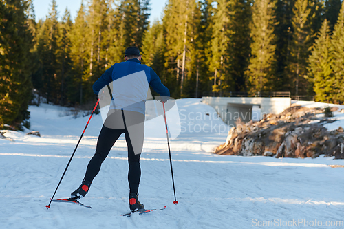 Image of Nordic skiing or Cross-country skiing classic technique practiced by man in a beautiful panoramic trail at morning.Selective focus.